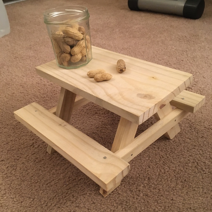 squirrel-sized picnic bench with a jar of peanuts on top, placed indoor on a brown carpet.